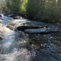 Cool mountain streams refresh and revive during our hot summers