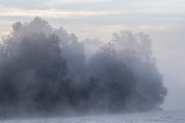 Foggy river scene