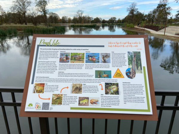 informational signage next to the pond at District 56 Preserve