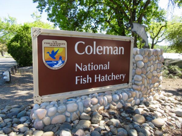 Coleman Fish Hatchery Entrance