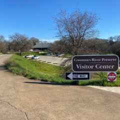 Cosumnes River Preserve: A Great Outing for Everyone