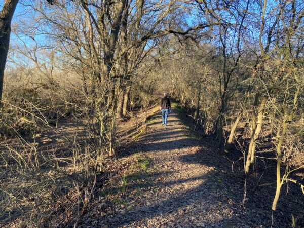 people walking the trail at Cosumnes River Preserve