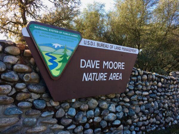 Dave Moore Nature Area Sign