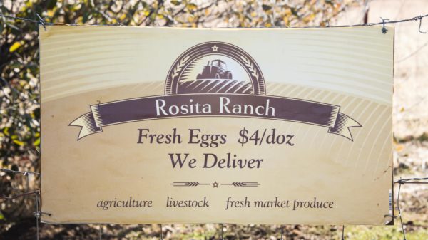 Rosita Ranch egg sign