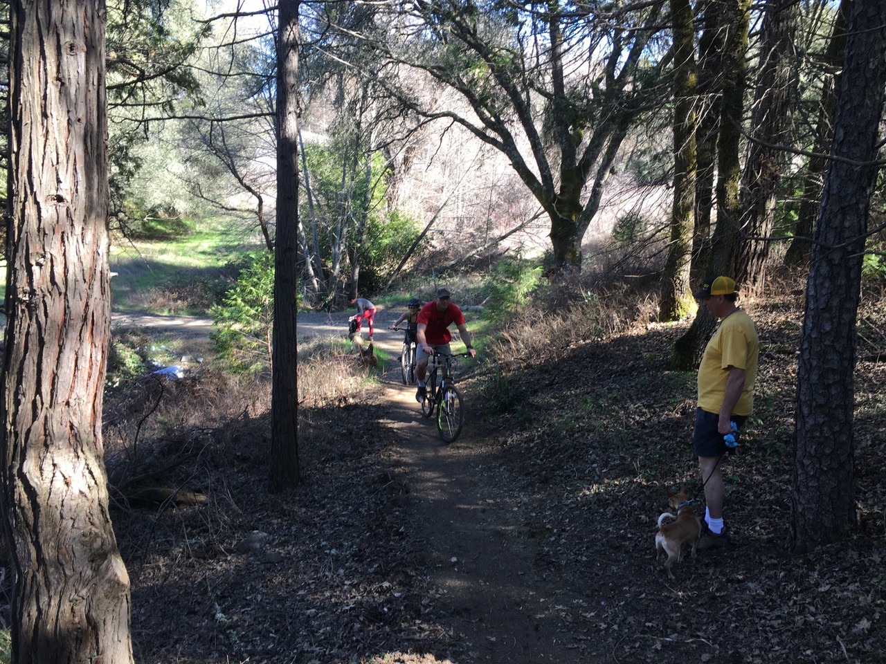 cyclists on Greenwood Creek Trail