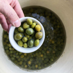 Curing Olives at Home