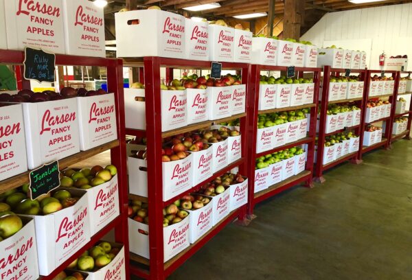 shelves full of large boxes of apples
