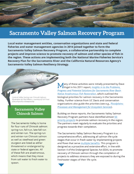 Sacramento Valley Salmon Recovery Program Flier