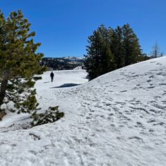 Spring Snow Adventures Await You in the Sierra