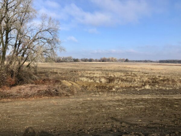 Willow Bend project site