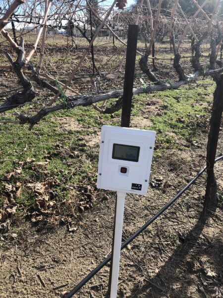 grape vine with moisture sensor