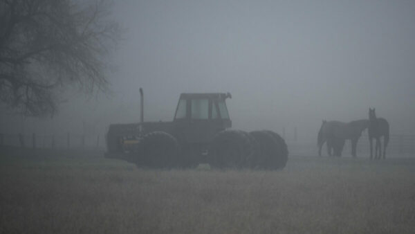 Tractor in fog