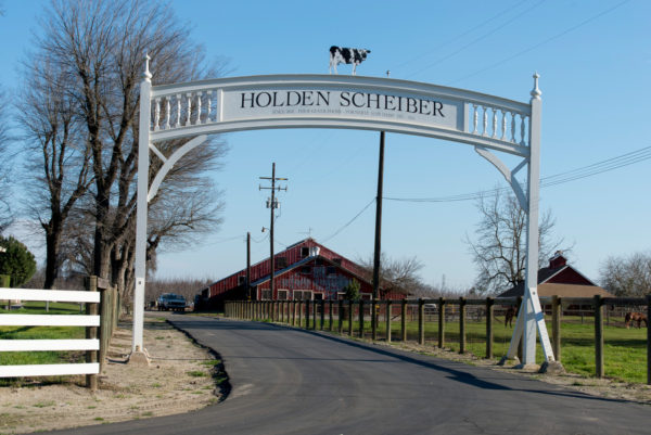 Holden Scheiber Sign