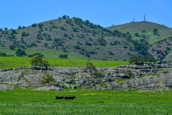 Rocks in field
