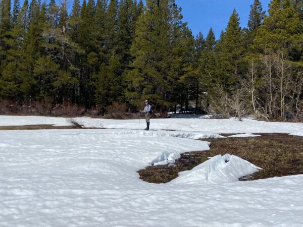 person cross country skiing in carson pass