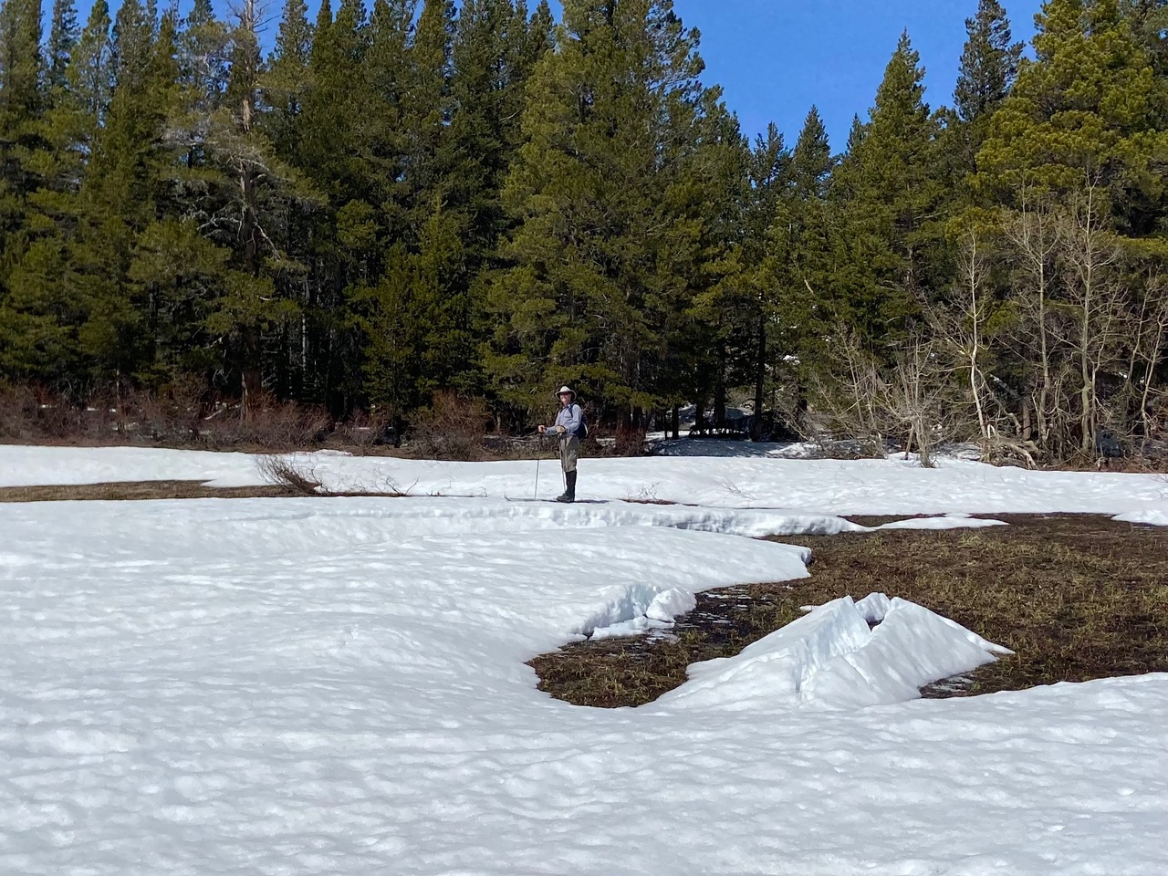 person snowshoeing in carson pass