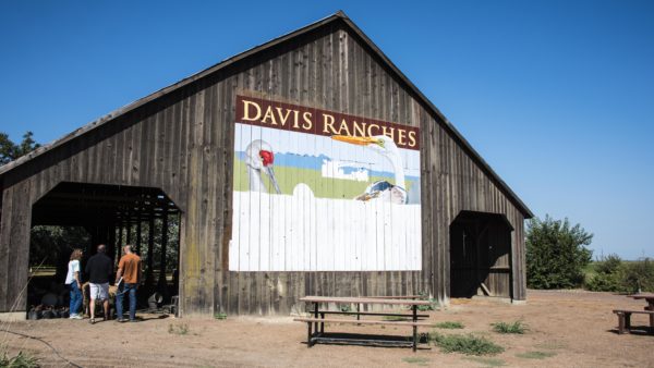 Davis Ranches