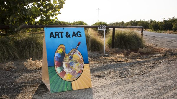 Art and Ag sign
