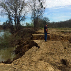 Feather River erosion