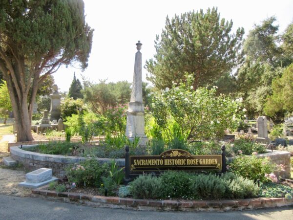 Historic Sacramento Rose Garden