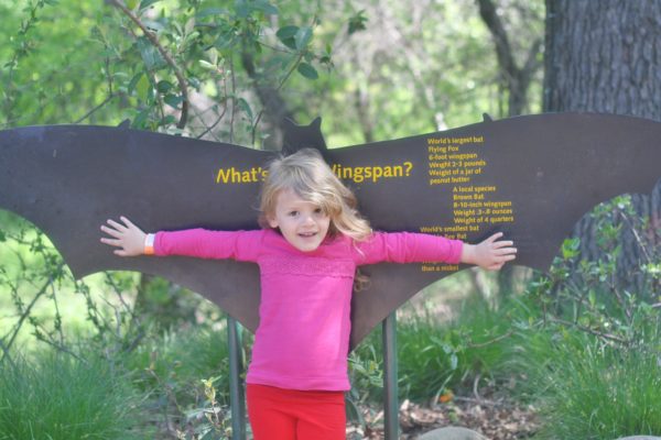 Child learning about wingspan