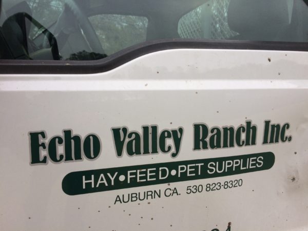 Echo Valley Ranch branding