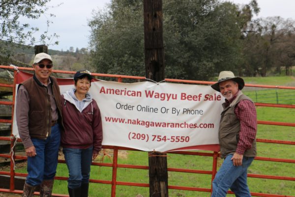 American Wagyu Beef Sale sign