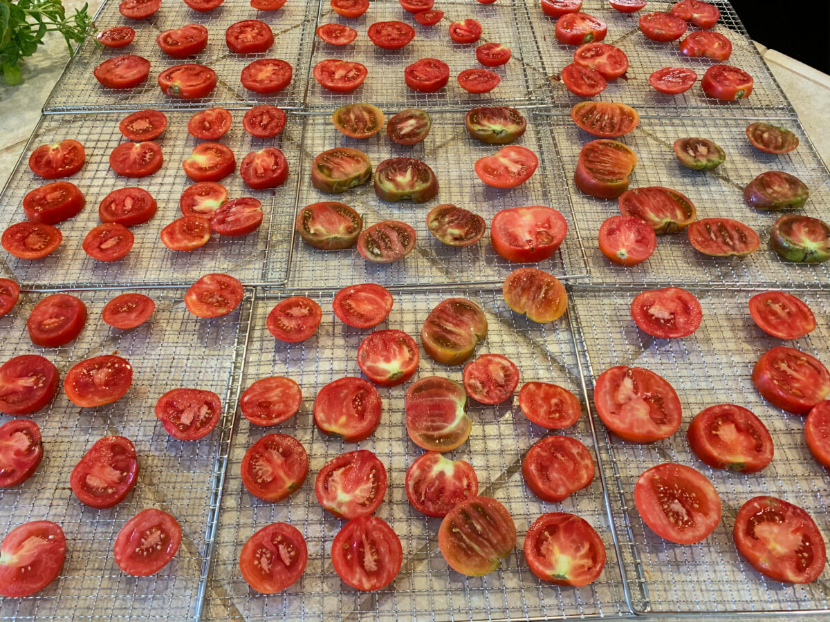 sliced tomatoes on drying rack