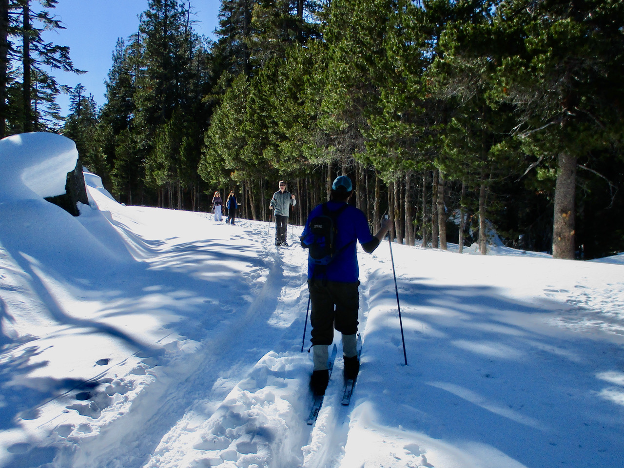 people snowshoeing a winter trail