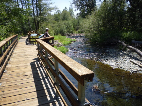 The Rainbow Trail and Taylor Creek Visitor Center