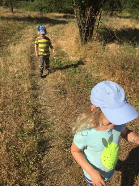 Kids on a trail