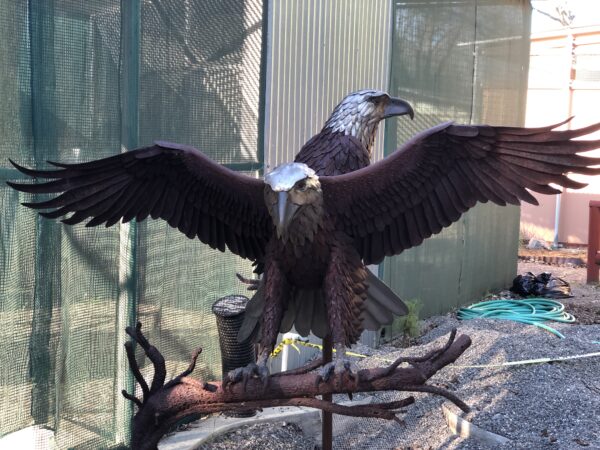 bald eagles metal sculpture