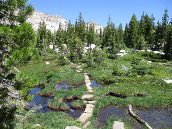 rocky path over a stream through hikinh trail