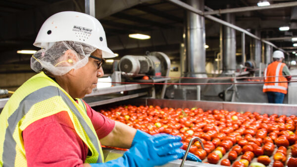 Worker with tomatoes